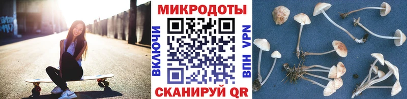 Галлюциногенные грибы прущие грибы  Дагестанские Огни 